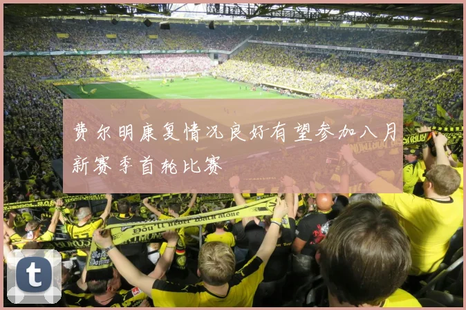 费尔明康复情况良好有望参加八月新赛季首轮比赛